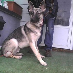 Meet your Posher, Jamie